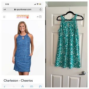 Spunkwear Spandex Dress - EUC - Medium